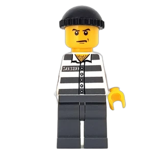 Vorschaubild der Minifigur cty0100