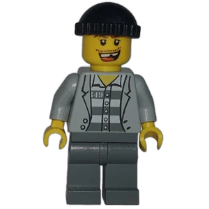 Vorschaubild der Minifigur cty0208