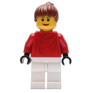 Vorschaubild der Minifigur fst003