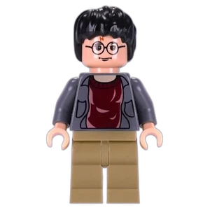 Miniature de la figurine hp041