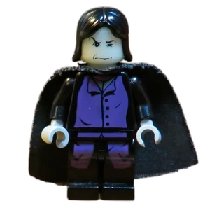 Miniature de la figurine hp050