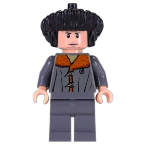 Vorschaubild der Minifigur hp077