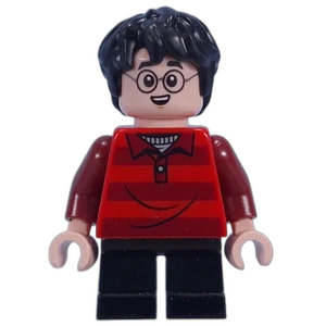 Vorschaubild der Minifigur hp509 Vorschaubild der Minifigur hp509