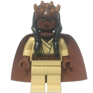 Miniature de la figurine sw0421
