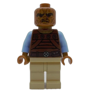 Miniature de la figurine sw0487