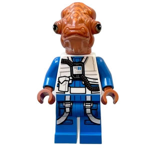 Miniature de la figurine sw1307