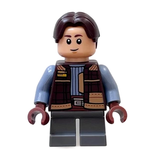 Miniature de la figurine sw1309