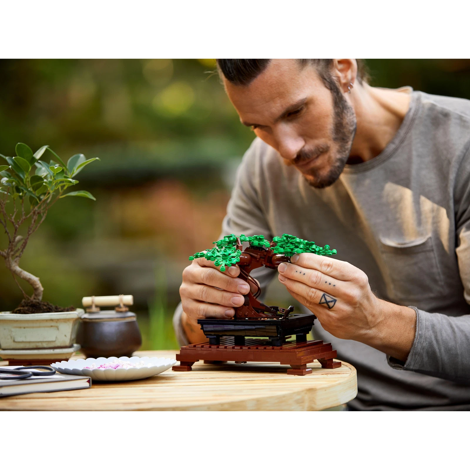 ポコ 10281 BONSAI TREE – O.P. Taylor's