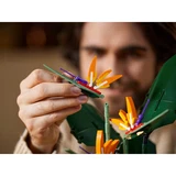 LEGO® Icons Bird of Paradise 10289 (10/18) LEGO® Icons Bird of Paradise 10289 (10/18)