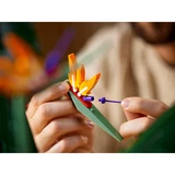 LEGO® Icons Bird of Paradise 10289 (12/18) LEGO® Icons Bird of Paradise 10289 (12/18)