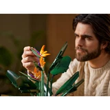 LEGO® Icons Bird of Paradise 10289 (9/18) LEGO® Icons Bird of Paradise 10289 (9/18)