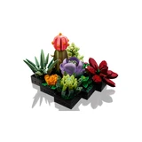 LEGO® Icons Sukkulenten 10309 (3/10)