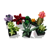 LEGO® Icons Sukkulenten 10309 (5/10)