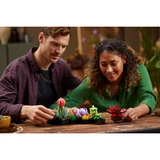 LEGO® Icons Sukkulenten 10309 (8/10)