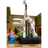 LEGO® Icons Naturhistorisches Museum 10326 (5/10) LEGO® Icons Naturhistorisches Museum 10326 (5/10)