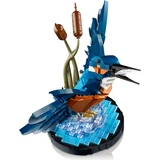 LEGO® Icons IJsvogel 10331 (3/8)