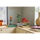 Japanese Red Maple Bonsai Tree 10348 thumbnail-11