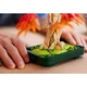 Japanese Red Maple Bonsai Tree 10348 thumbnail-16