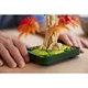 Japanese Red Maple Bonsai Tree 10348 thumbnail-8