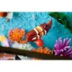 Tropical Aquarium 10366 thumbnail-12 Tropical Aquarium 10366 thumbnail-12