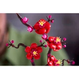 LEGO® Icons Plum Blossom 10369 (8/10)