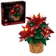 Weihnachtsstern 10370 thumbnail-0