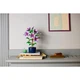 Hibiskus 10372 thumbnail-4