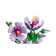 Hibiskus 10372 thumbnail-5