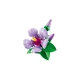 Hibiskus 10372 thumbnail-7
