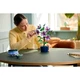 Hibiskus 10372 thumbnail-8