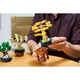 Mini Bonsai Trees 10373 thumbnail-11