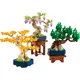Mini Bonsai Trees 10373 thumbnail-1