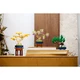 Mini Bonsai Trees 10373 thumbnail-2