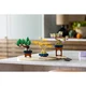 Mini Bonsai Trees 10373 thumbnail-4