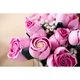 Bouquet of Pink Roses 10374 thumbnail-12 Bouquet of Pink Roses 10374 thumbnail-12
