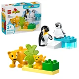 LEGO® DUPLO Wild Animal Families: Penguins & Lions 10442 (1/9) LEGO® DUPLO Wild Animal Families: Penguins & Lions 10442 (1/9)