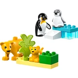 LEGO® DUPLO® Wildtier-Familien: Pinguine und Löwen 10442 (2/9) LEGO® DUPLO® Wildtier-Familien: Pinguine und Löwen 10442 (2/9)