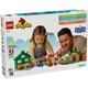 De tuin en kas van Opa Big 10461 thumbnail-7