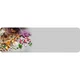 Animal Building Game 10472 thumbnail-24 Animal Building Game 10472 thumbnail-24
