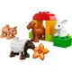 Farm Animals 10522 thumbnail-0