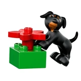 LEGO® DUPLO All-in-One-Box-of-Fun 10572 (14/18)
