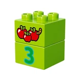 LEGO® DUPLO All-in-One-Box-of-Fun 10572 (8/18)
