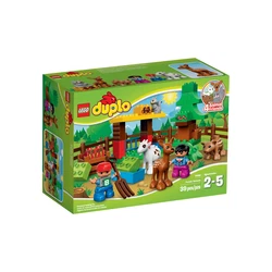 Wildtiere 10582