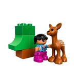 LEGO® DUPLO Forest: Animals 10582 (6/7) LEGO® DUPLO Forest: Animals 10582 (6/7)