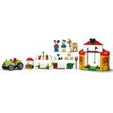 LEGO® Disney™ Mickys und Donald Duck's Farm 10775 (4/11)