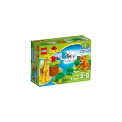 Jungtiere 10801
