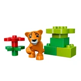 LEGO® DUPLO Baby Animals 10801 (3/5)