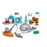 LEGO® DUPLO Arctic 10803 (2/11)