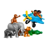 LEGO® DUPLO Jungle 10804 (5/12)