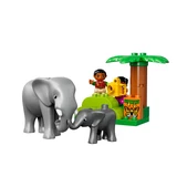 LEGO® DUPLO Jungle 10804 (7/12)